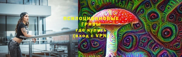 гашик Волоколамск