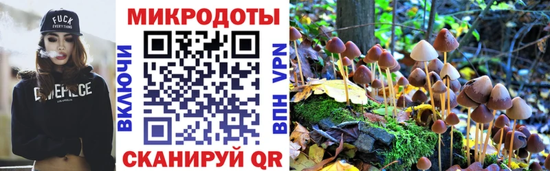 Псилоцибиновые грибы мухоморы  маркетплейс телеграм  Камешково 